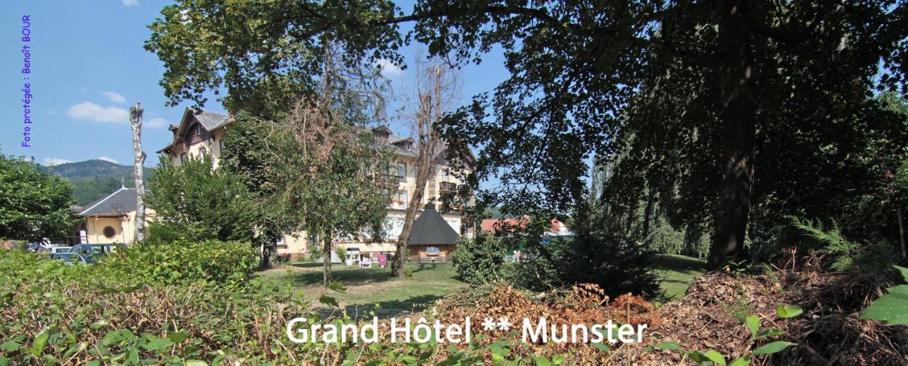 Brit Hotel Grand Hotel Munster 묑스테르 외부 사진